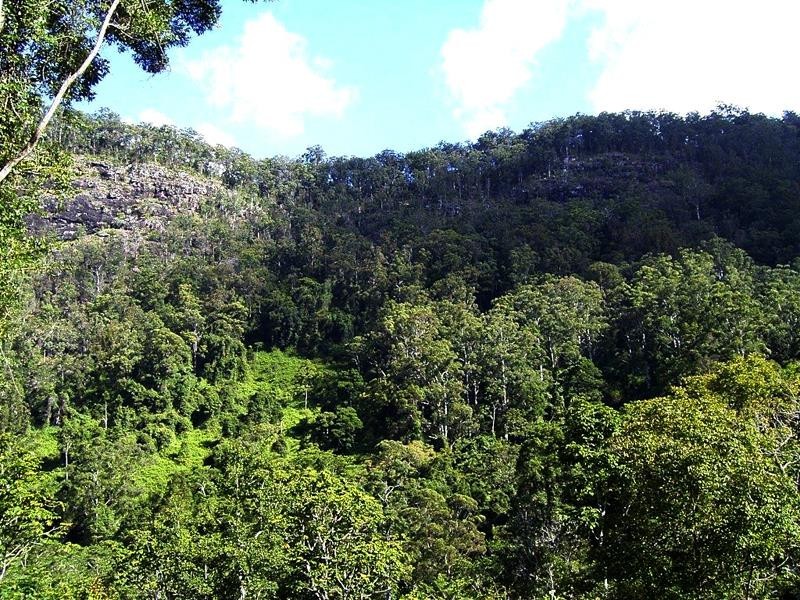 Lot 71 Cedar Creek Rd, Cedar Creek NSW 2484
