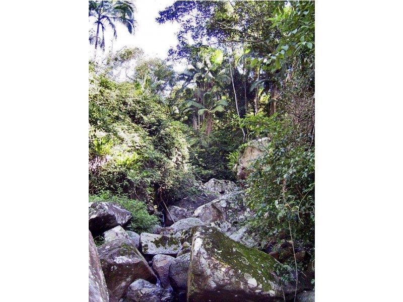 Lot 71 Cedar Creek Rd, Cedar Creek NSW 2484