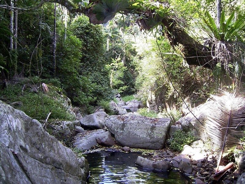 Lot 71 Cedar Creek Rd, Cedar Creek NSW 2484