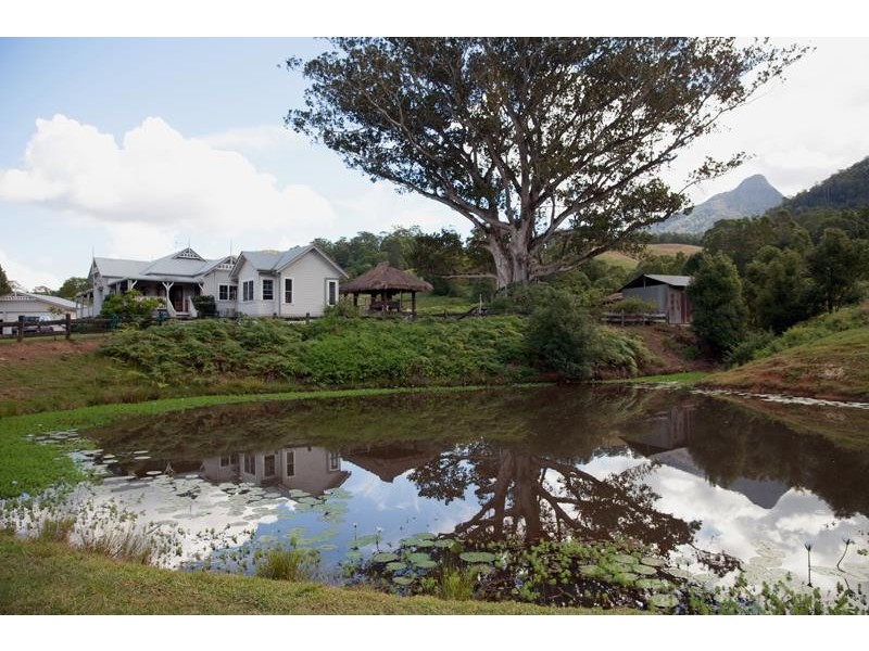 1874 Kyogle Rd, Terragon NSW 2484