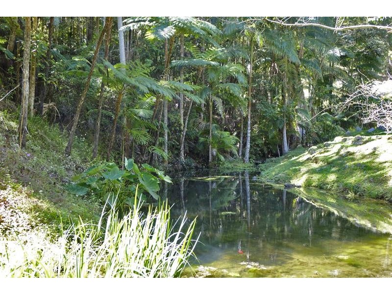 Lot 164 Boyds Lane, Dulguigan NSW 2484