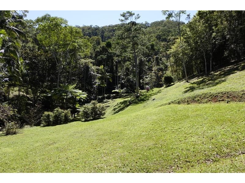 Lot 164 Boyds Lane, Dulguigan NSW 2484