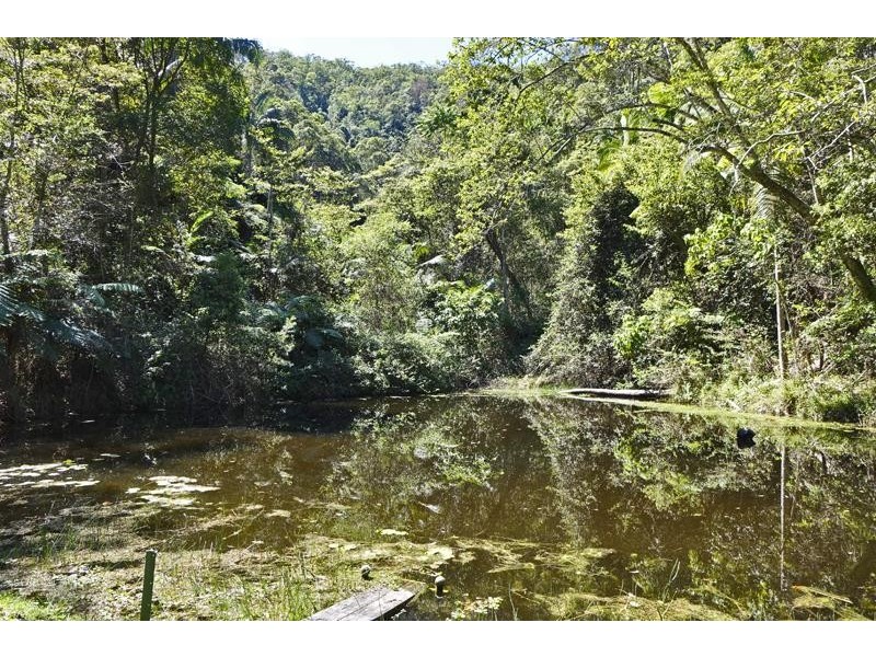 Lot 164 Boyds Lane, Dulguigan NSW 2484