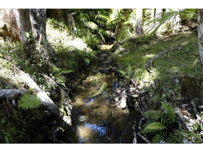 Lot 164 Boyds Lane, Dulguigan NSW 2484