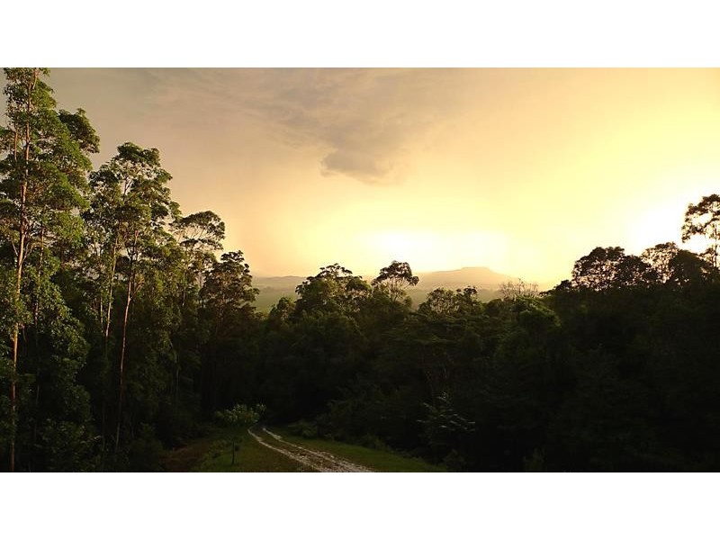 Lot 164 Boyds Lane, Dulguigan NSW 2484