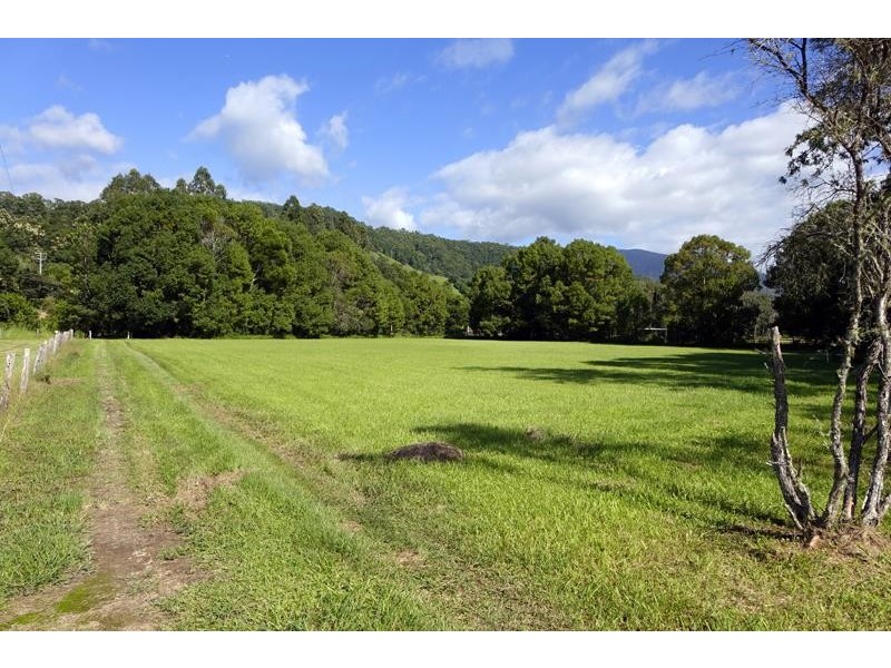 520 Nobbys Creek Rd, Nobbys Creek NSW 2484