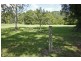 520 Nobbys Creek Rd, Nobbys Creek NSW 2484