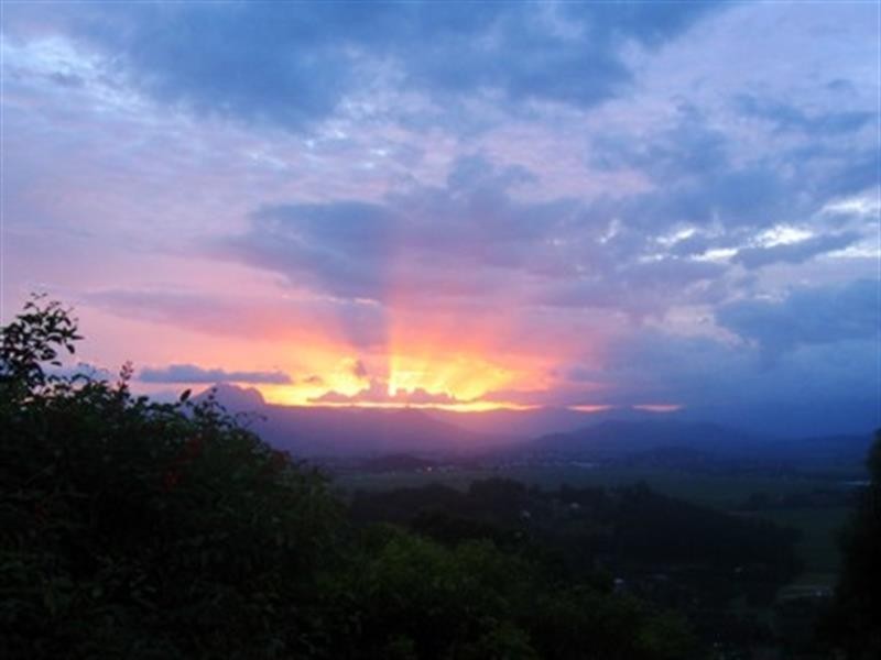 92 Farrants Rd, Farrants Hill NSW 2484