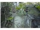 92 Farrants Hill Rd, Farrants Hill NSW 2484