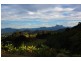 700 Tomewin Rd, Tomewin NSW 2484
