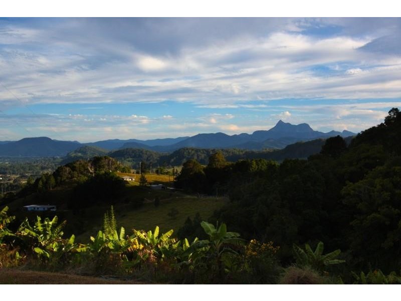 700 Tomewin Rd, Tomewin NSW 2484