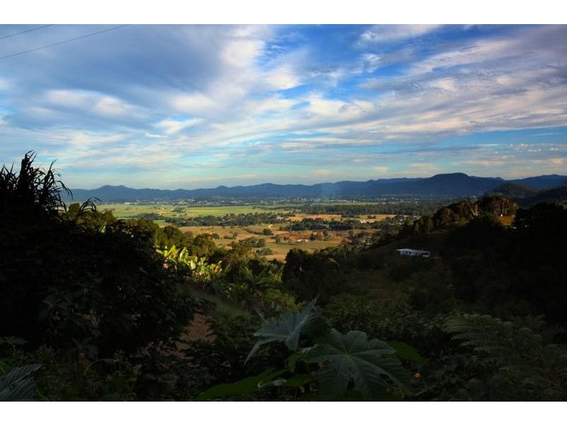 700 Tomewin Rd, Tomewin NSW 2484