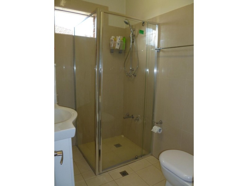 166 Juno  Pde, Greenacre NSW 2190