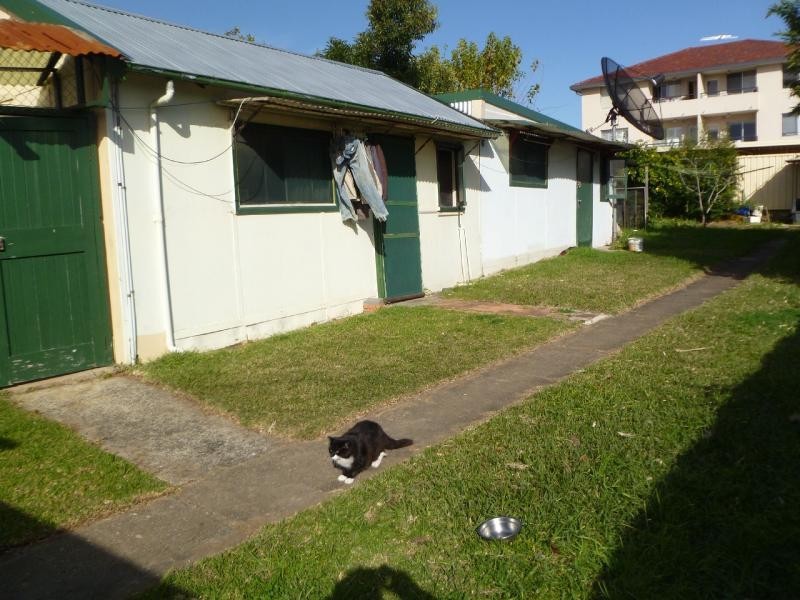 59 Moreton  St, Lakemba NSW 2195