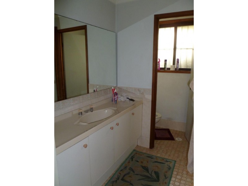 20  King Georges Rd, Wiley Park NSW 2195