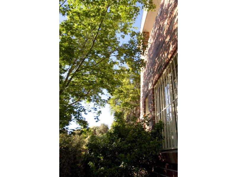 1/8 MACDONALD  St, Lakemba NSW 2195