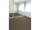 5/19 SHADFORTH St, Wiley Park NSW 2195