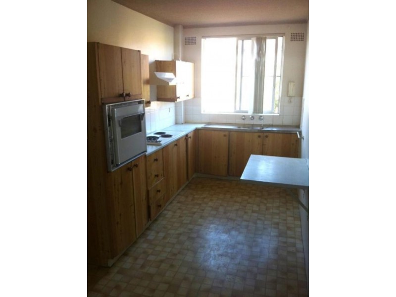 8/77 Denman Ave, Wiley Park NSW 2195