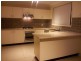 636 Punchbowl Rd, Wiley Park NSW 2195