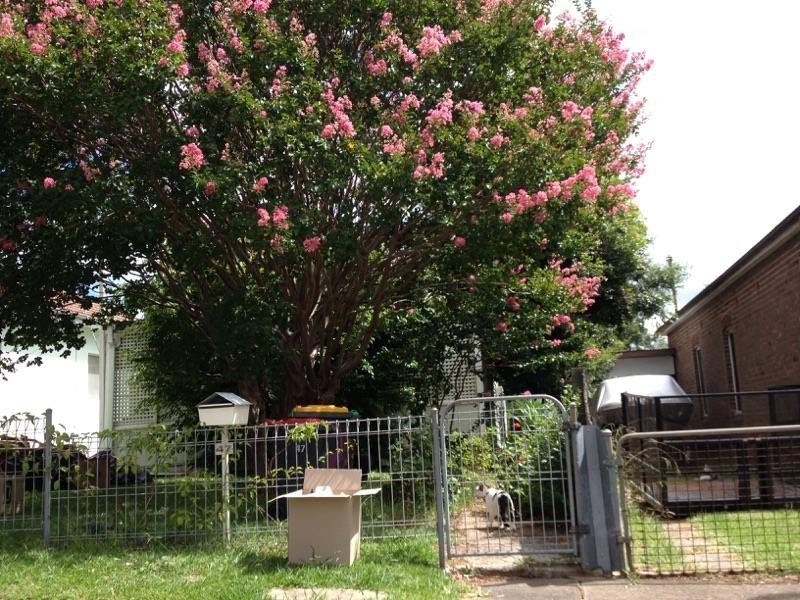 47 Quigg St, Lakemba NSW 2195