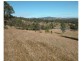 Wingham NSW 2429