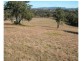 Wingham NSW 2429