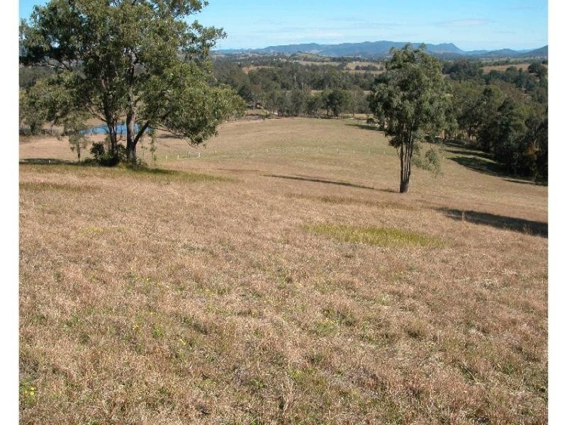 Wingham NSW 2429