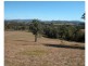 Wingham NSW 2429