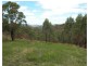 Dollys Flat NSW 2429