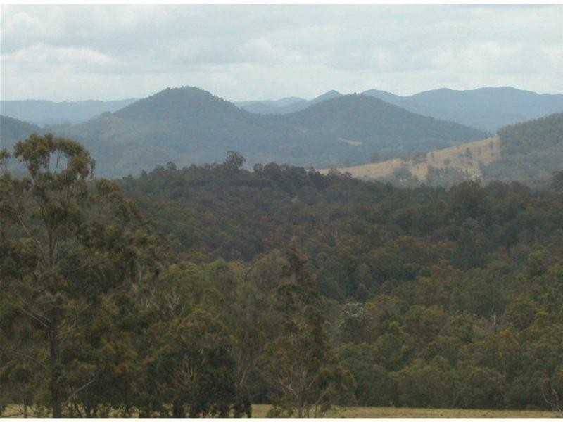 Dollys Flat NSW 2429