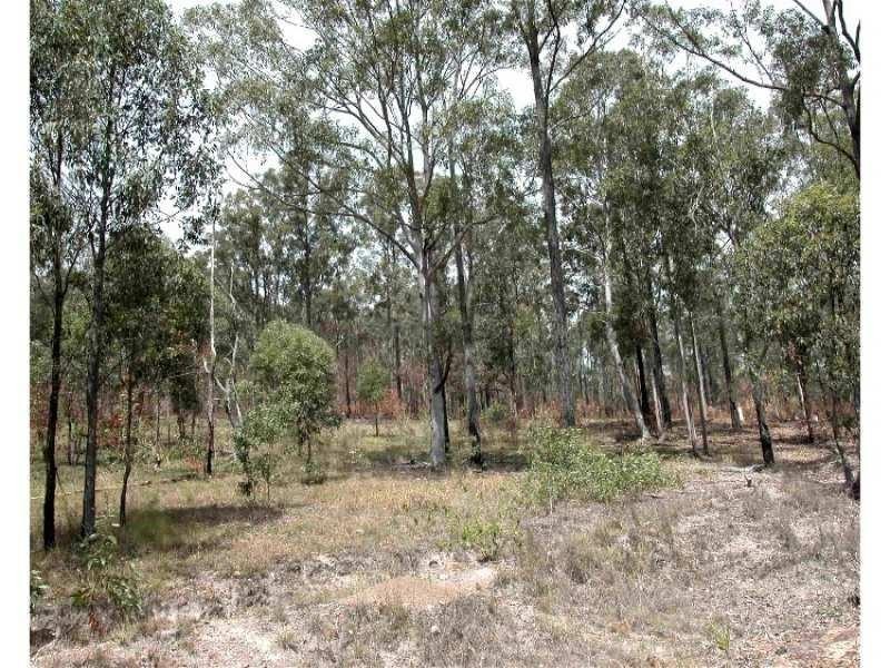 Dollys Flat NSW 2429