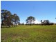 Wingham NSW 2429