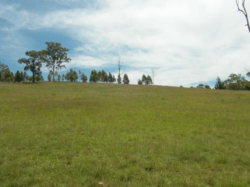 Burrell Creek NSW 2429