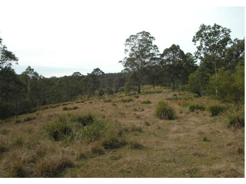 Doyles River NSW 2446