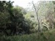 Doyles River NSW 2446