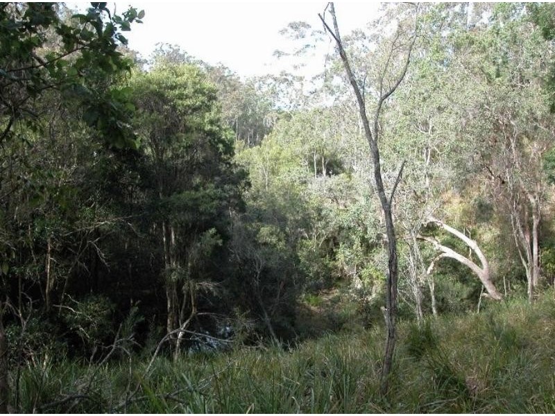 Doyles River NSW 2446