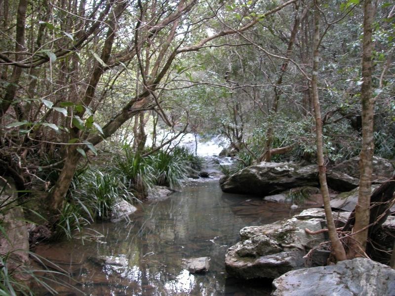 Doyles River NSW 2446