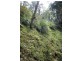 Doyles River NSW 2446