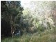 Doyles River NSW 2446