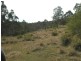 Doyles River NSW 2446