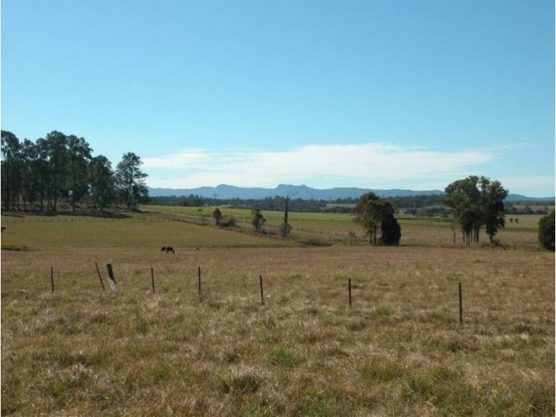 Cedar Party NSW 2429