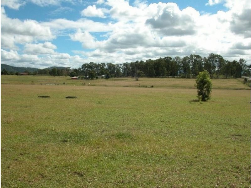 Cedar Party NSW 2429