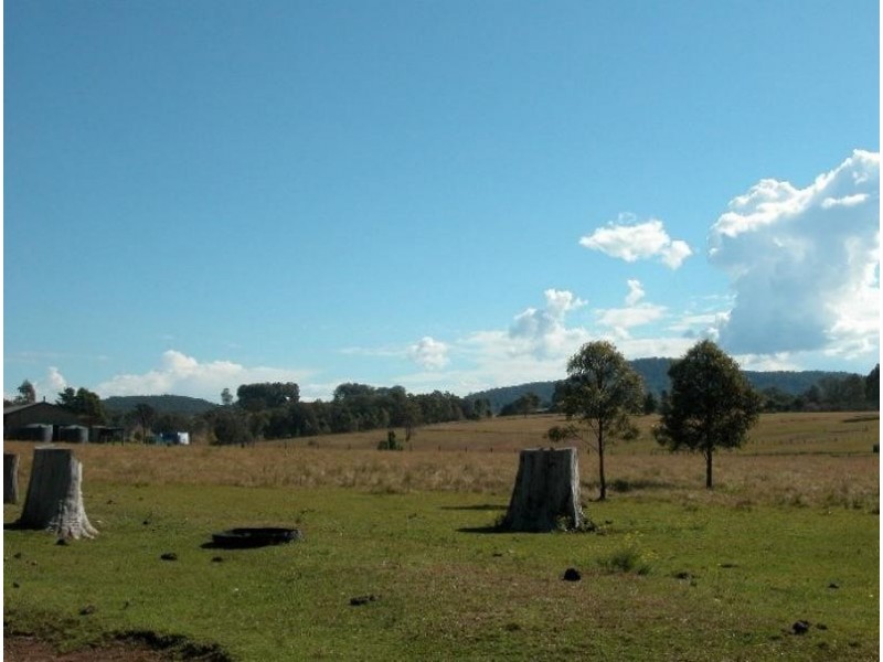 Cedar Party NSW 2429