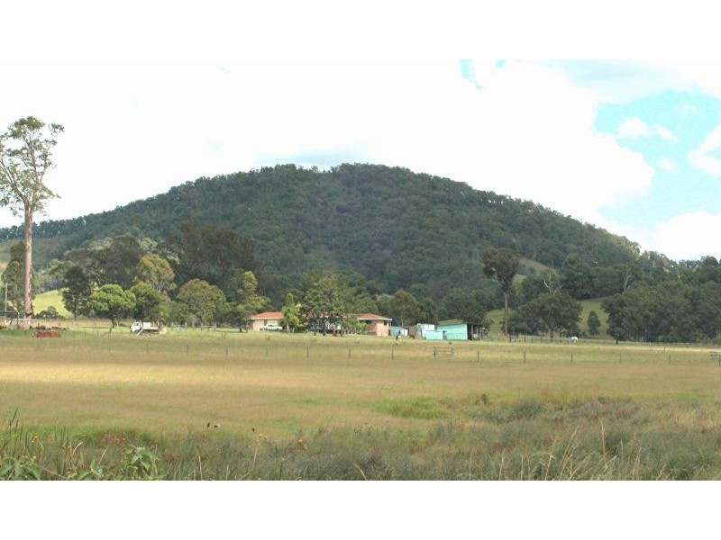 Cedar Party NSW 2429