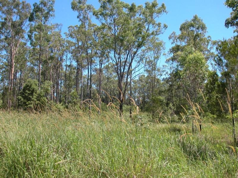 Lansdowne NSW 2430