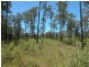 Lansdowne NSW 2430