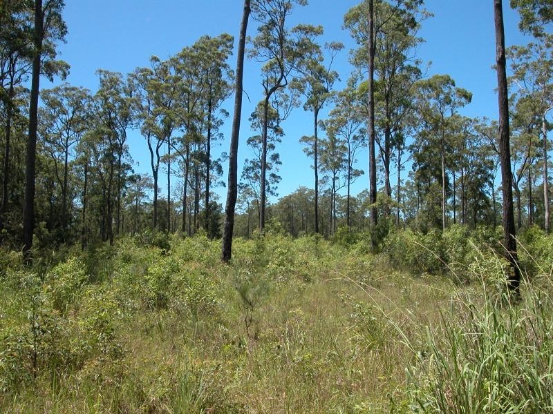 Lansdowne NSW 2430