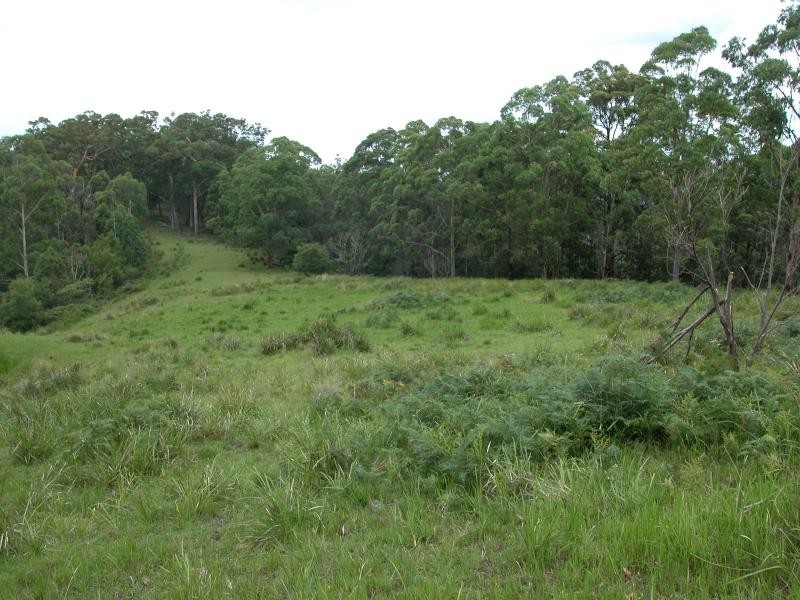 Elands NSW 2429