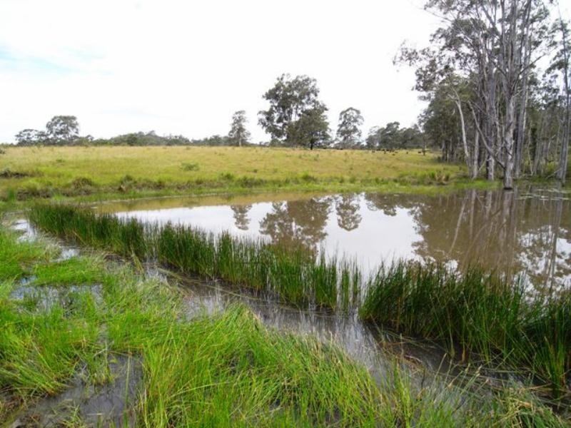 Wherrol Flat NSW 2429