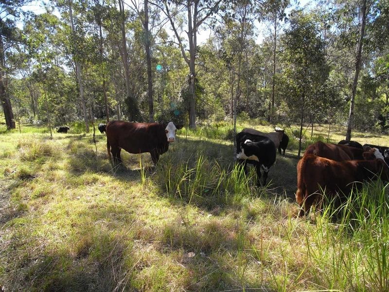 Wherrol Flat NSW 2429